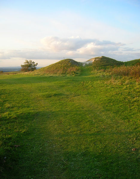 File:Tumulus near Combe Holt - geograph.org.uk - 991451.jpg