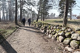 Turvei og steingjerde på Bjellandstrand, Tromøy