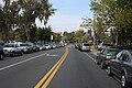 Large number of cars parking along Newell Drive during UF football game