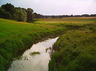 Die Uherka beim Dorf Rudka bei Niedrigwasser