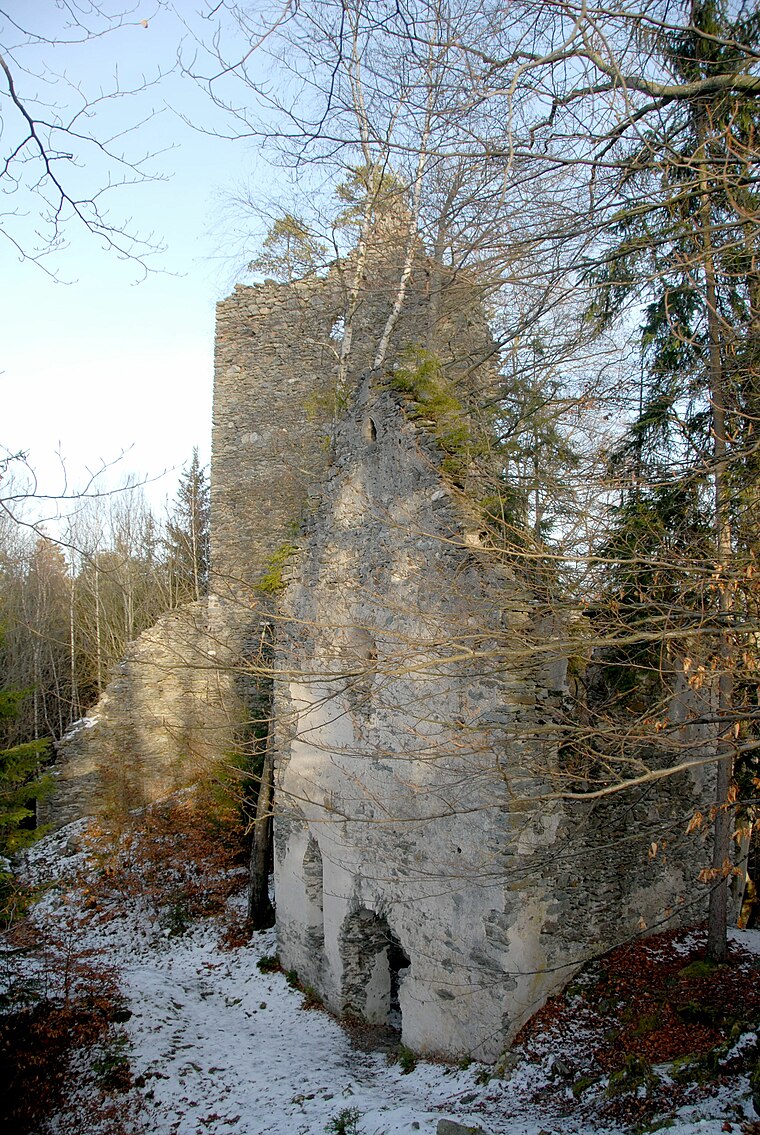 Burgruine Hohenwart