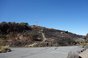 The Victoria Park fire close to the Sugarloaf tower.