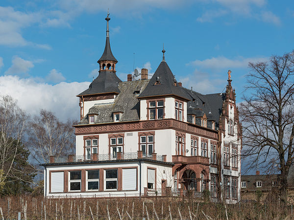 Villa Hoechst