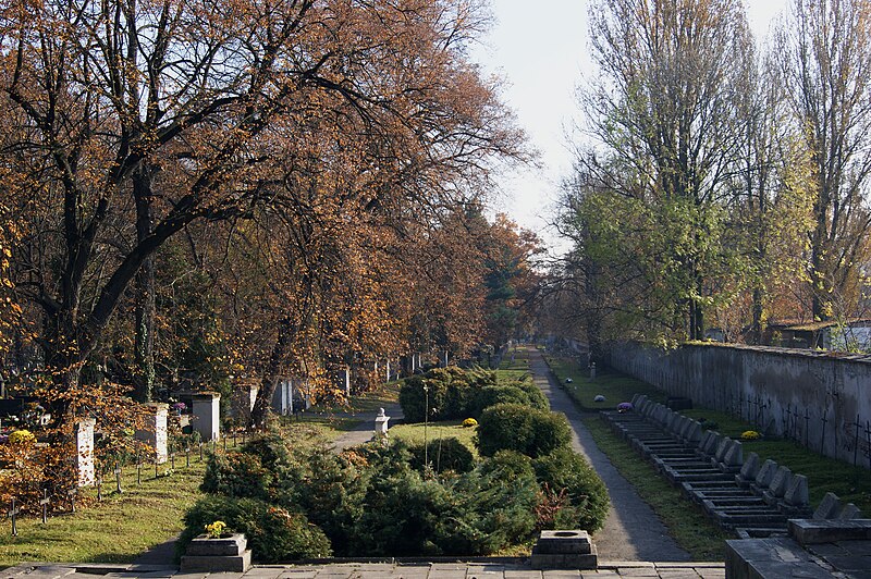 File:WWI, Military cemetery No. 388 Kraków-Rakowice (1), 26 Rakowicka street, Kraków, Poland.jpg