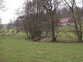 The Watter near Vahlhausen (Landau)