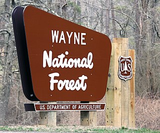 Wayne National Forest protected area in Ohio, USA