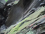 Pistes de Weißeritztal au-dessus de Tharandt près de Somsdorf (36) Roches de gneiss avec des traces d'érosion glaciaire.JPG