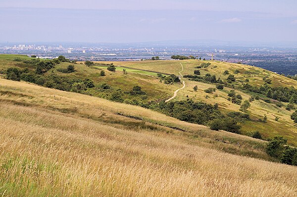 Werneth Low with the Greater Manchester Urban Area in the background.