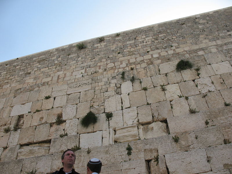 File:Western Wall 1838 (499798787).jpg