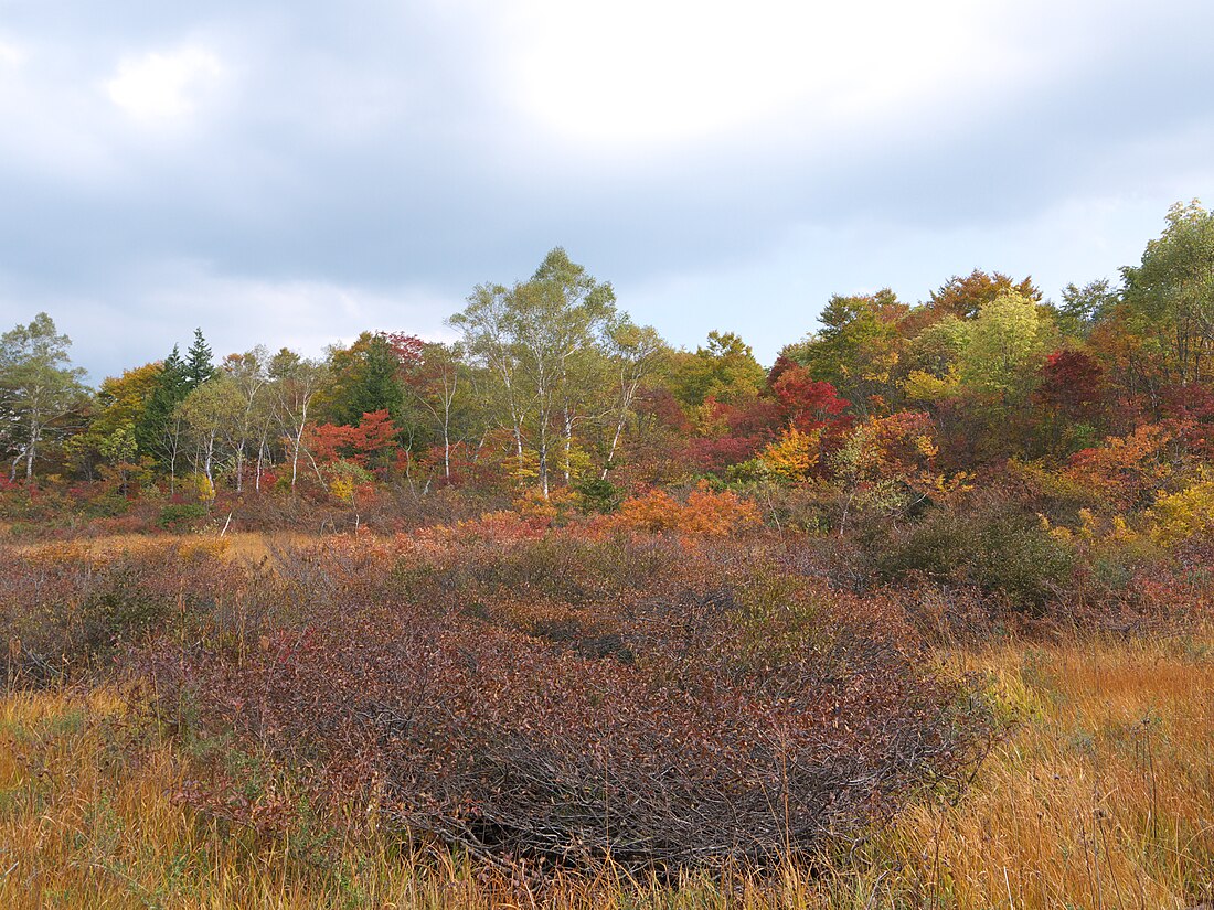 Shōwa, Fukushima