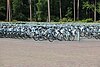 The ''Witte Fietsen'' (White Bikes) can be found throughout the park, almost littering the drop-off and pick-up areas for said bikes. These bikes may not be the highest quality available, but they are more than useful when it comes to exploring the park.