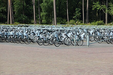 The Witte Fietsen (White Bikes) can be found throughout the park, almost littering the drop-off and pick-up areas for said bikes. These bikes may not be the highest quality available, but they are more than useful when it comes to exploring the park.