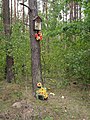 English: Tree shrine in Wola Małkowska