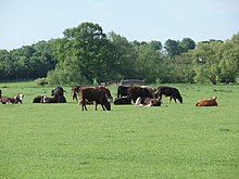 Ouse Valley Park Yes this is Milton Keynes - geograph.org.uk - 446314.jpg