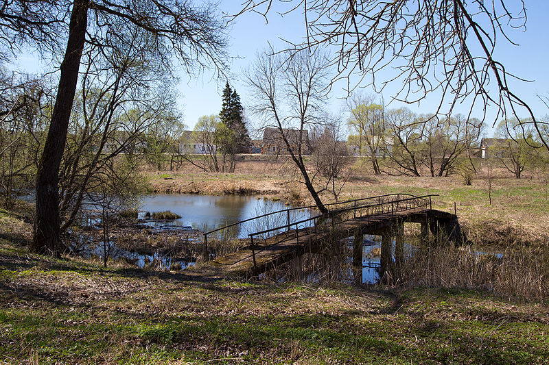 File:Парк усадьбы Грузины.jpg