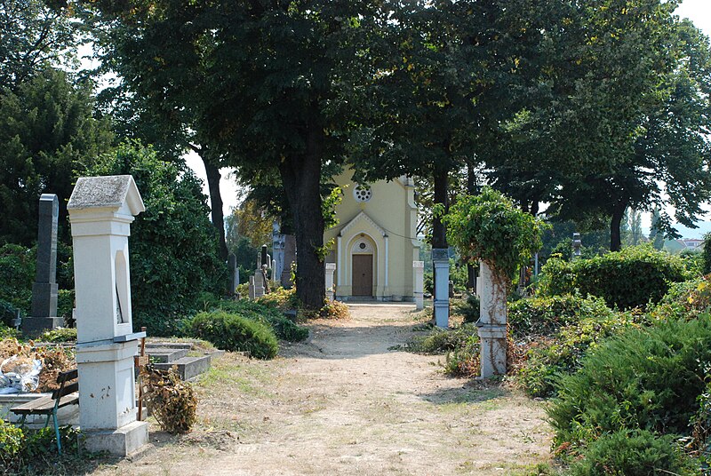 File:Старо католичко гробље у Новом Саду.JPG