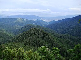 Uitgestrekte wouden in het nationaal park Bordzjomi-Charagaoeli