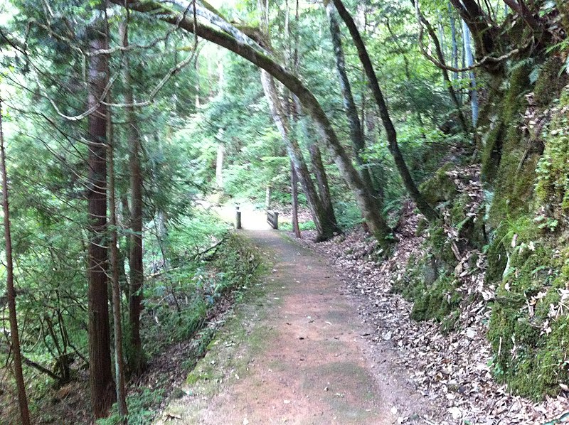 File:常清滝 散策道 - panoramio.jpg