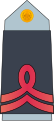 03. AAF-CPL.svg