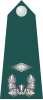 10.SKA-2LT.svg