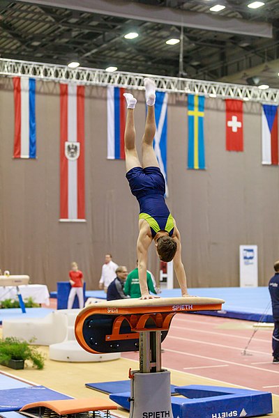 File:15th Austrian Future Cup 2018-11-24 Tim Landolt (Norman Seibert) - 06525.jpg