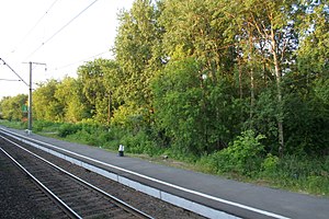 187kmMosca-Ryazan railplatform.jpg