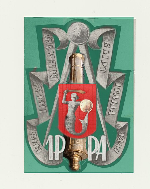 1st Polish Artillery Observer Regiments Emblem
