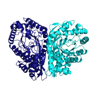 <span class="mw-page-title-main">Methylaspartate ammonia-lyase</span>