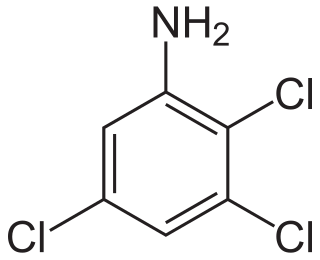 Die Trichloraniline bilden in 