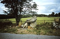 Portal Tomb von Annaghmore