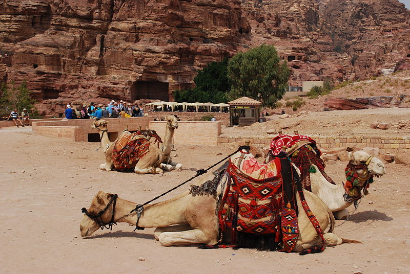 File:20100925 petra218.JPG