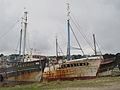 Épaves dans le port de Camaret 1