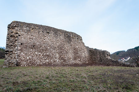 20121231 Ruine Zarge 3