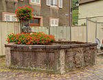 2013-09-14 11-20-25-Fontaine des Vignerons-PA00085699.jpg