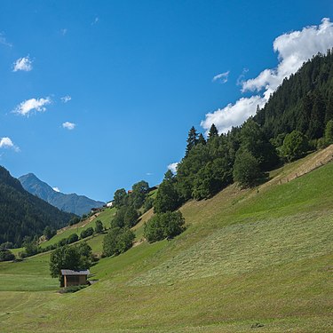 Making hay in alpine conditions, Tyrol/Austria