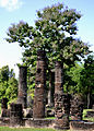 Wat Ton Chan im Geschichtspark Sukhothai