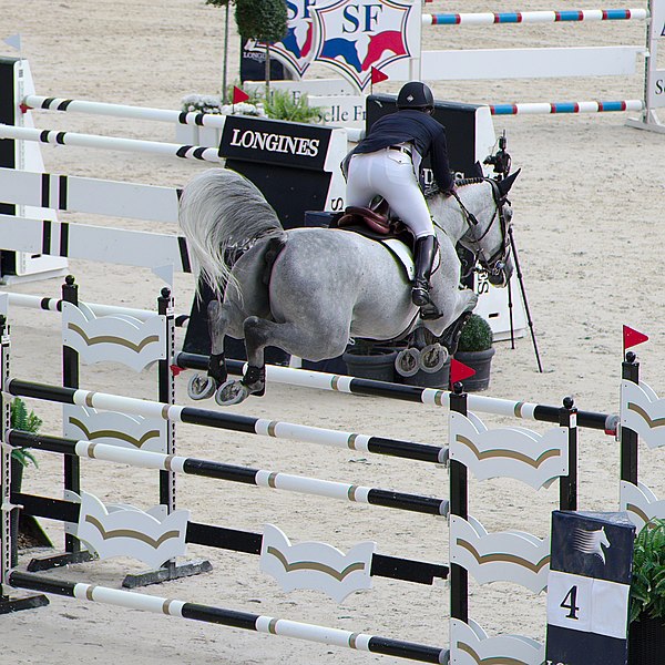 File:2013 Longines Global Champions - Lausanne - 14-09-2013 - Rodrigo Pessoa et Tinkabell 12 4.jpg