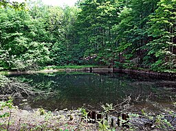 20150602065DR Olbernhau Dörfelteich Bruchbergweg