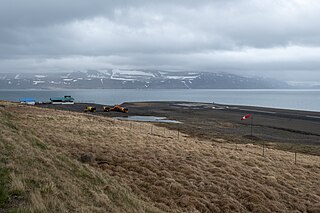 <span class="mw-page-title-main">Bíldudalur Airport</span> Airport