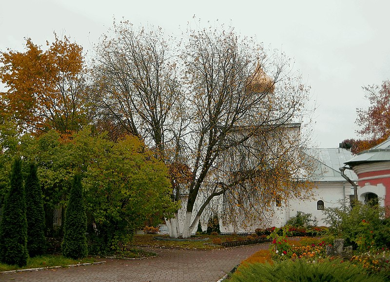 File:2462. Pskov. Snetogorsky monastery.jpg