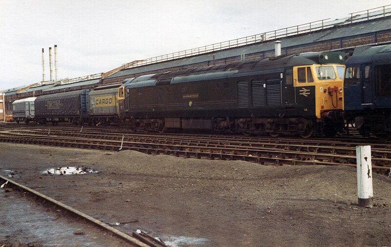 File:50007 - Crewe Works (10754975815).jpg