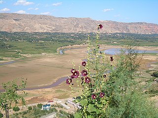 Dongxiang Autonomous County Autonomous county in Gansu, Peoples Republic of China