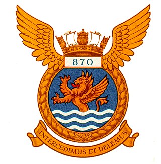 <span class="mw-page-title-main">870 Naval Air Squadron</span> Military unit