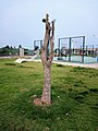 * Nomination TREE SOLITAIRE IN THE PUBLIC PARK OF FIFADJI (BENIN) --Adoscam 14:29, 30 October 2019 (UTC) * Decline  Oppose Insufficient quality. Jpeg artifacts, noised --George Chernilevsky 15:34, 30 October 2019 (UTC)