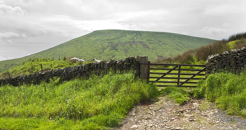 File:A gate with Pendle Hill beyond - geograph.org.uk - 4016879.jpg