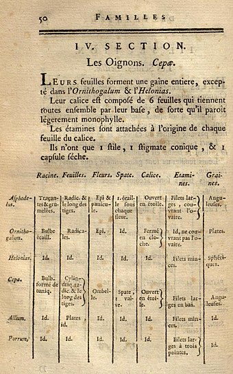 Michel Adanson's description of Cepae 1763