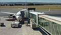 Manicotto d'imbarco con pareti in vetro all'Aeroporto di Adelaide, in Australia