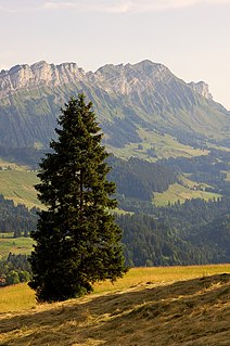 Entlebuch Biosphere protected area