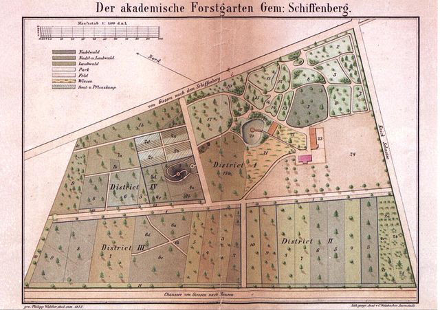 Historical drawing of the Akademischer Forstgarten Gießen, 1877
