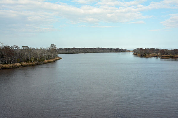 The Altamaha River viewed from the bridge between Glynn County and McIntosh County, Georgia, USA